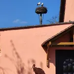 Storchennest Mit Eigenem Hof, Spielwiese Und Terrasse Nauen