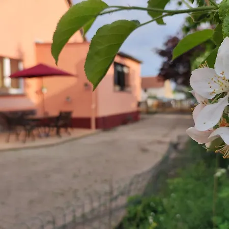 Storchennest Mit Eigenem Hof, Spielwiese Und Terrasse