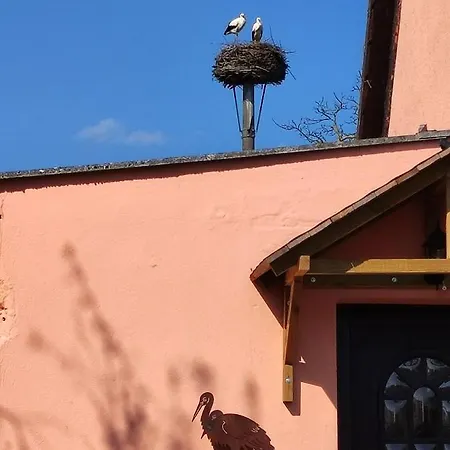 Storchennest Mit Eigenem Hof, Spielwiese Und Terrasse נאון