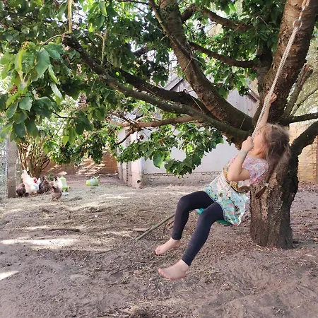 Storchennest Mit Eigenem Hof, Spielwiese Und Terrasse * Nauen