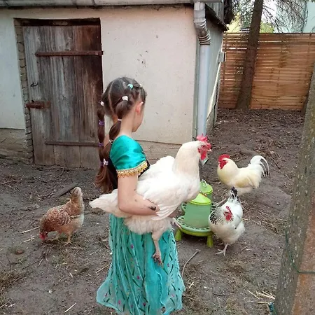 Διαμέρισμα Storchennest Mit Eigenem Hof, Spielwiese Und Terrasse *