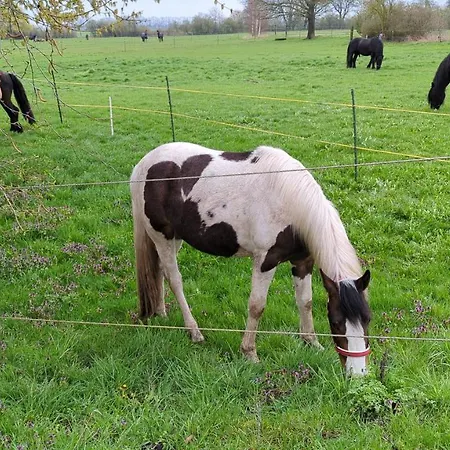 Storchennest Mit Eigenem Hof, Spielwiese Und Terrasse Διαμέρισμα Nauen