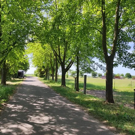 Storchennest Mit Eigenem Hof, Spielwiese Und Terrasse Διαμέρισμα Nauen