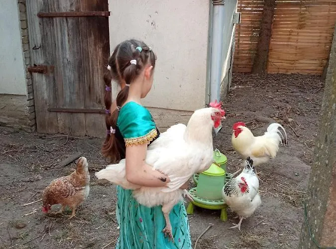 شقة Storchennest Mit Eigenem Hof, Spielwiese Und Terrasse *